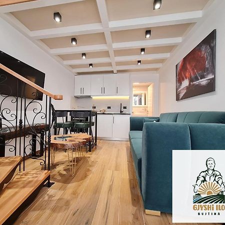 Bujtina Gjyshi Ilo Hotel Tushemisht Bagian luar foto