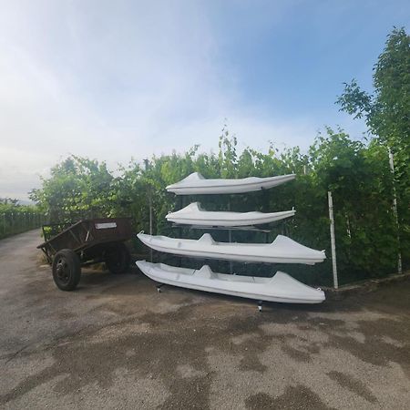 Bujtina Gjyshi Ilo Hotel Tushemisht Bagian luar foto