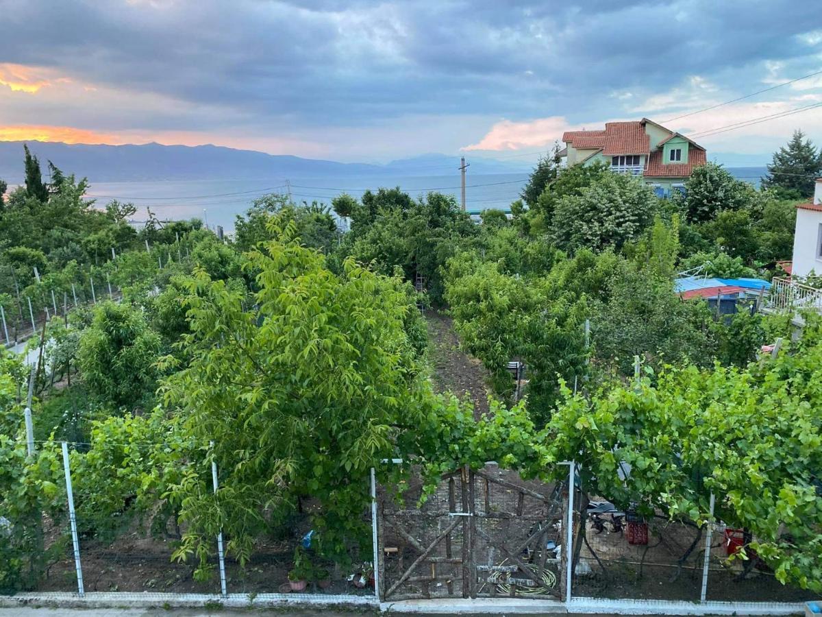 Bujtina Gjyshi Ilo Hotel Tushemisht Bagian luar foto