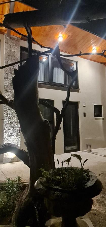 Bujtina Gjyshi Ilo Hotel Tushemisht Bagian luar foto